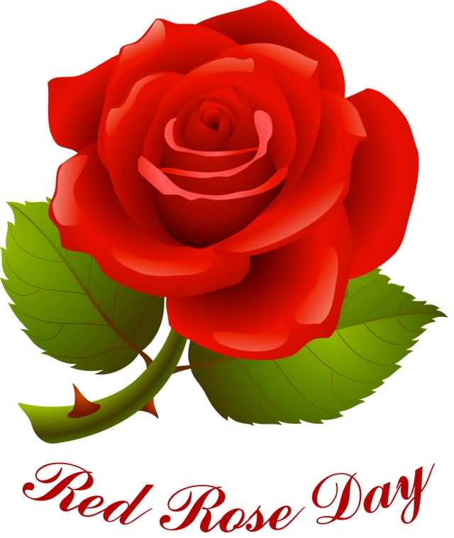 Red Rose Day Clipart