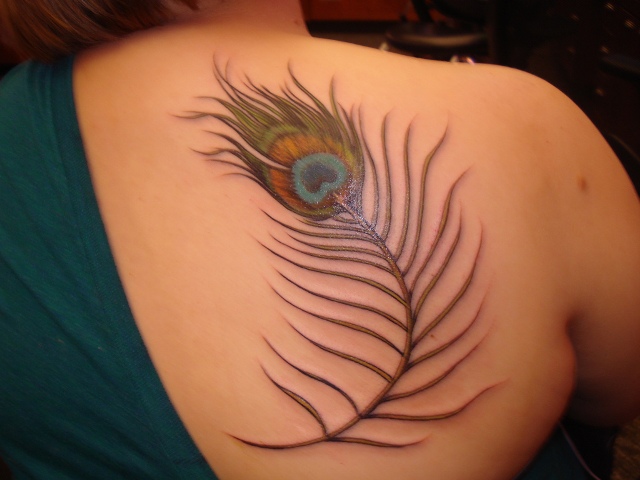 Right Back Shoulder Peacock Feather Tattoo For Women
