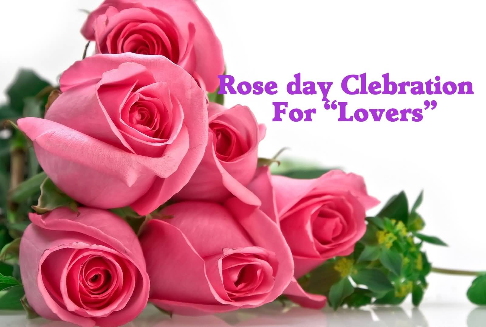 Rose Day Celebration For Lovers