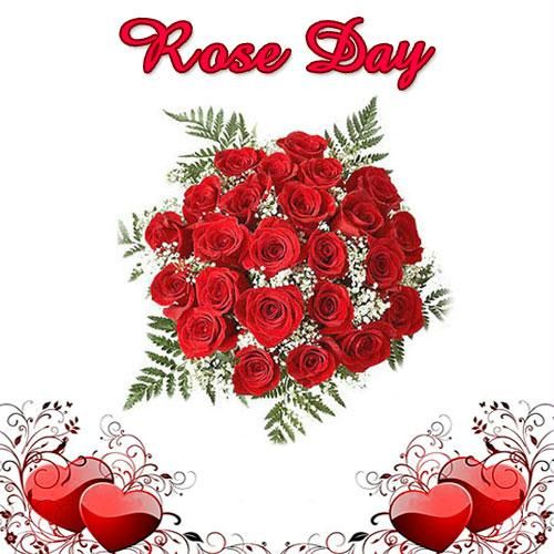 Rose Day Greeting Card