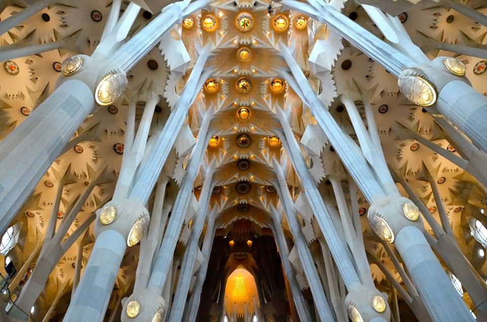 Sagrada Familia Adorable Inside View