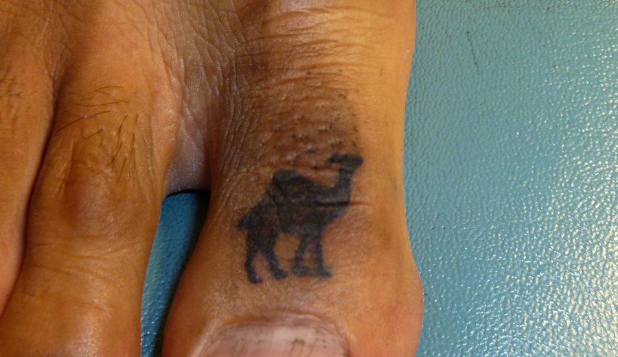 Silhouette Camel Tattoo On Toe