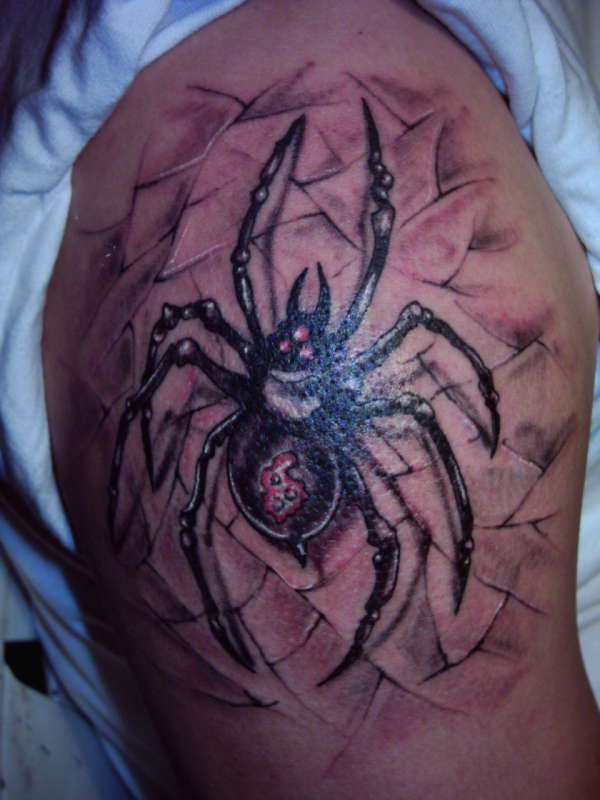 Spider Web And Spider Tattoo On Shoulder
