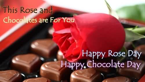 This Rose And Chocolates Are For You Happy Rose Day Happy Chocolate Day