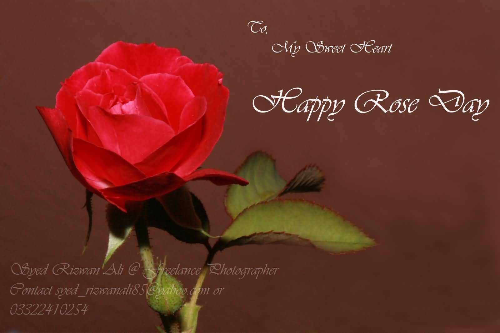 To My Sweet Heart Happy Rose Day