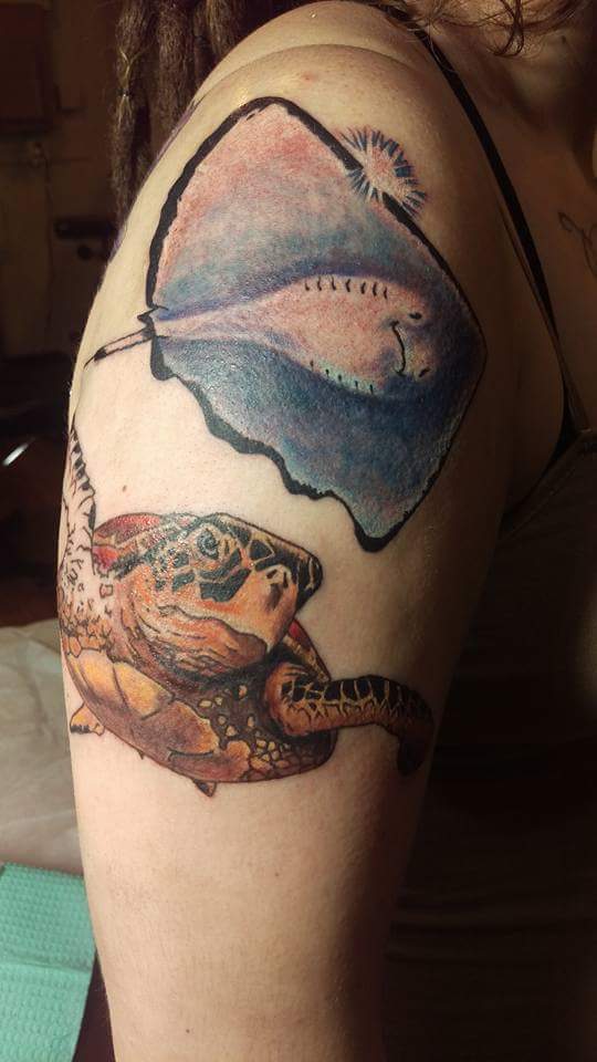 Turtle Tattoo On Women Right Half Sleeve By Laura Frego
