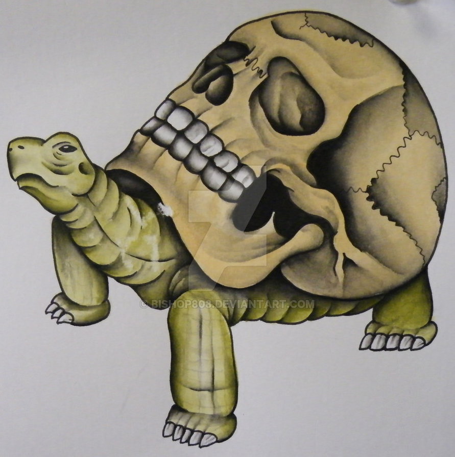 Turtle With Skull Shell Tattoo Design By Tyler Bishop