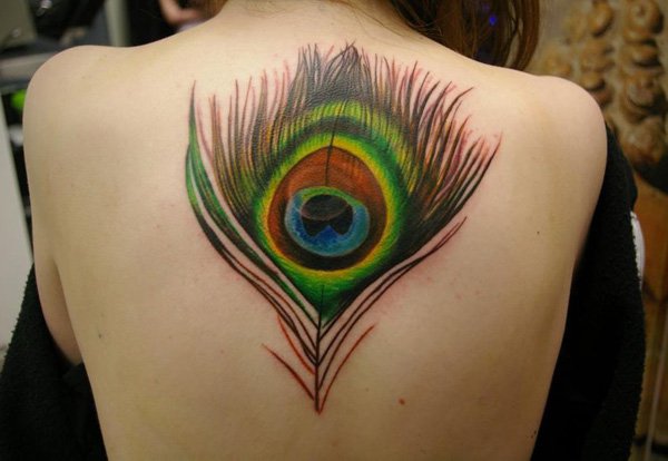 Upper Back Peacock Feather Tattoo For Girls