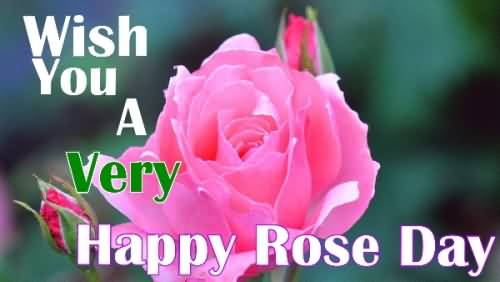 Wish You A Very Happy Rose Day