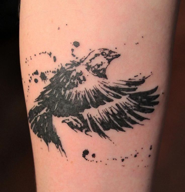 crow tattoo 67