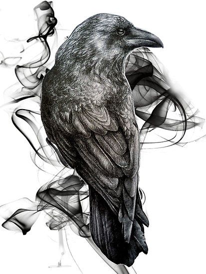 Amazing Crow Tattoo Design Idea
