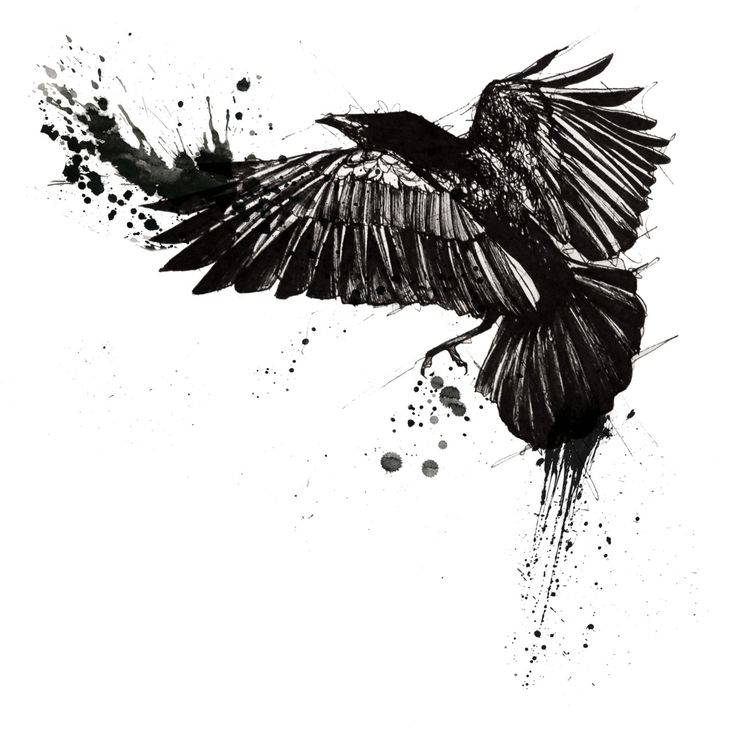 Amazing Crow Tattoo Design