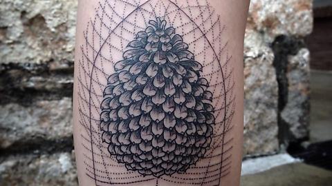 Attractive Black Ink Pine Cone Tattoo Design For Leg Calf