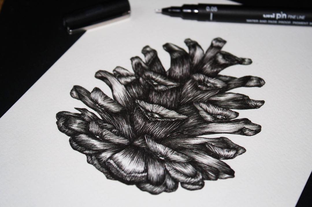 Attractive Black Ink Pine Cone Tattoo Design