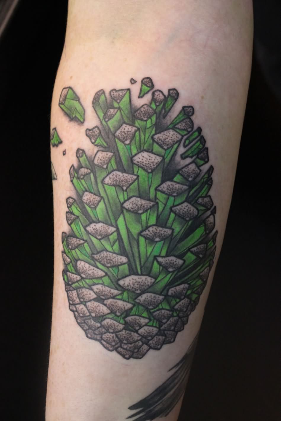 Attractive Pine Cone Tattoo On Forearm
