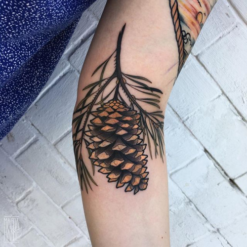 Attractive Pine Cone Tattoo On Left Forearm