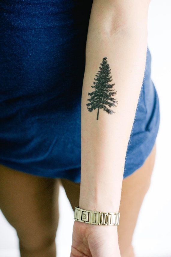 Attractive Pine Tree Tattoo On Left Forearm