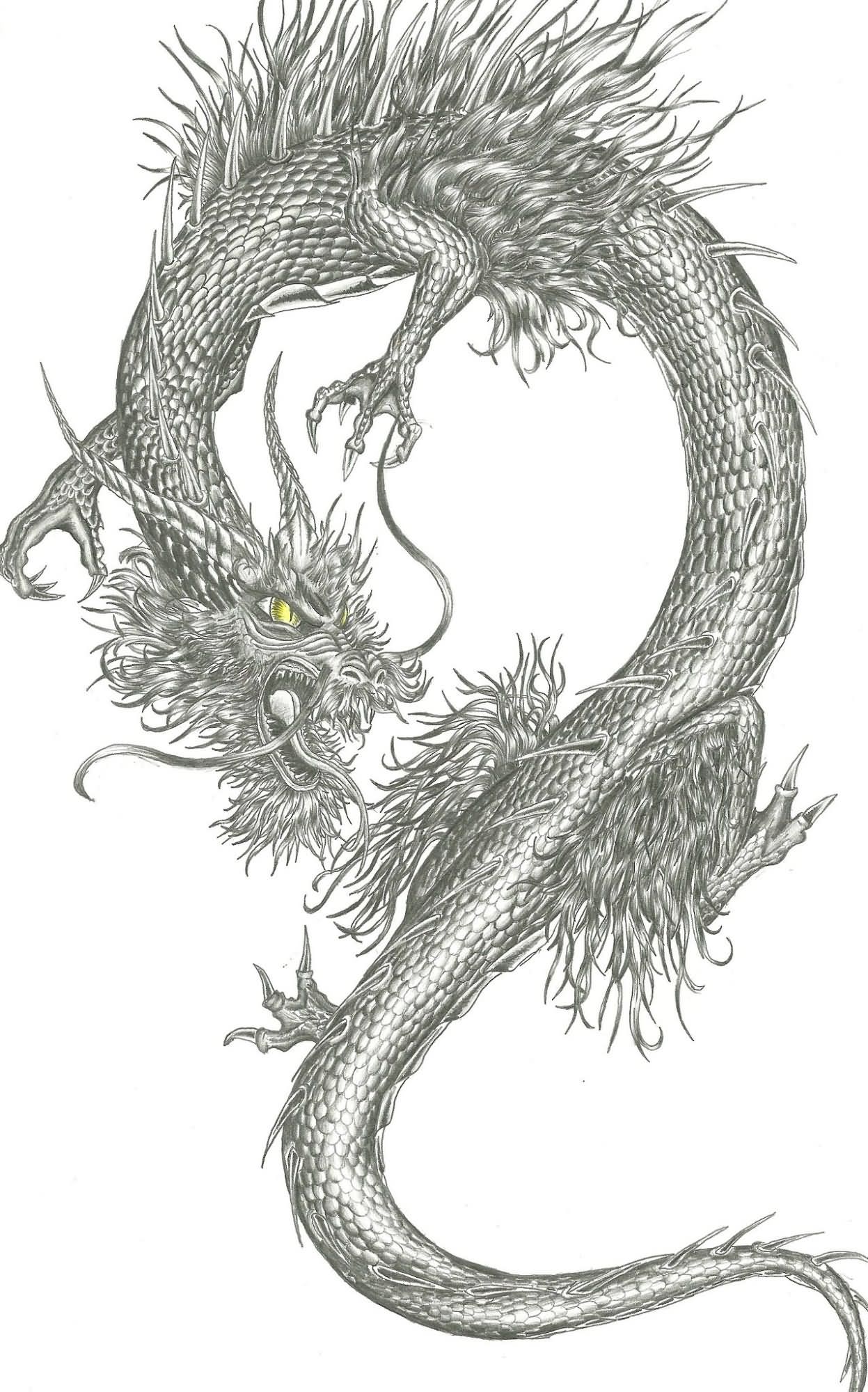 Awesome Black And Grey Chinese Dragon Tattoo Design By Sarah Perstolen