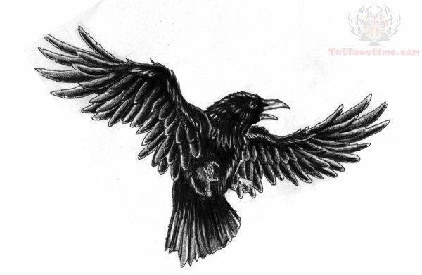 Awesome Black Crow Tattoo Design Sample