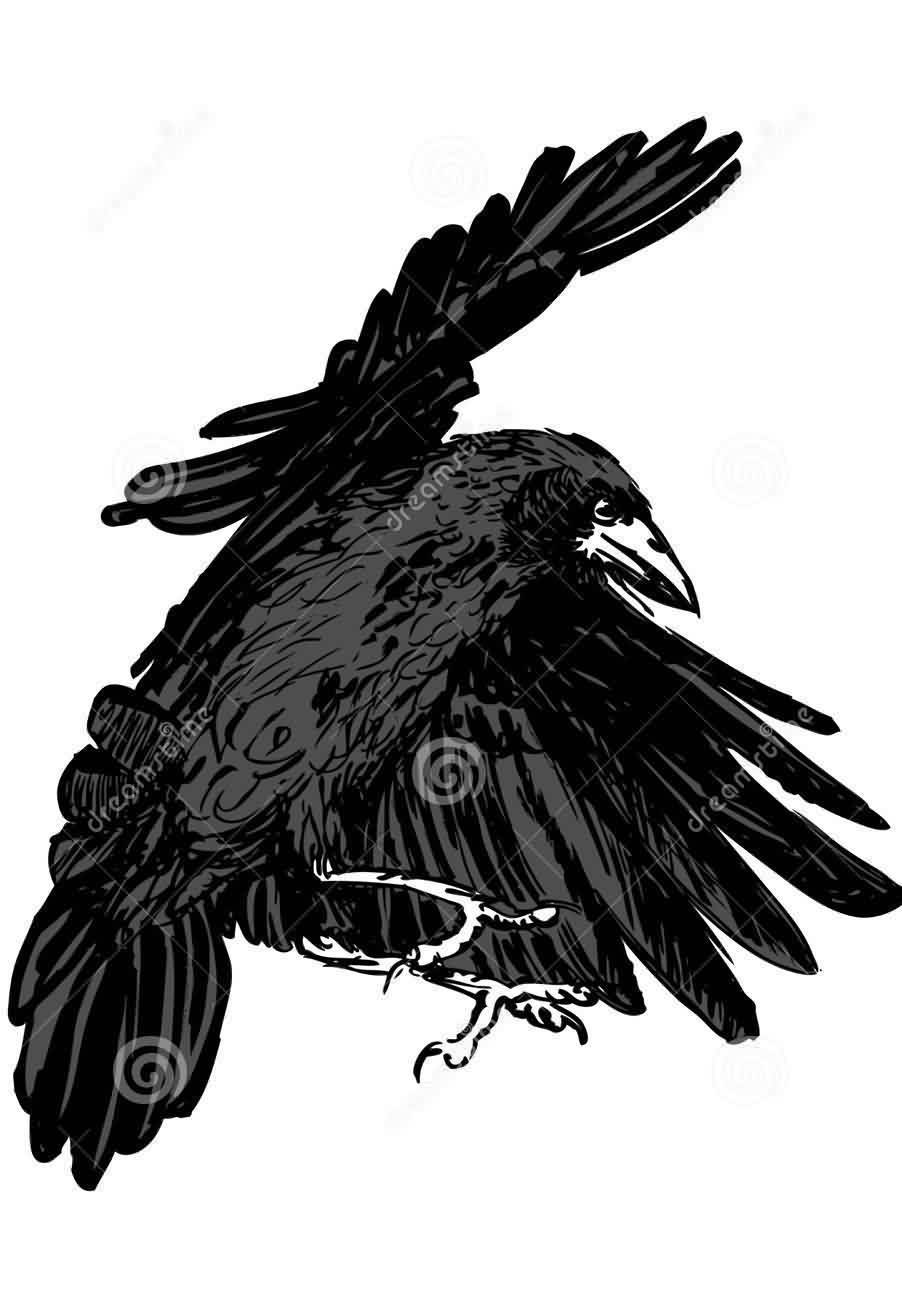 Awesome Black Crow Tattoo Idea