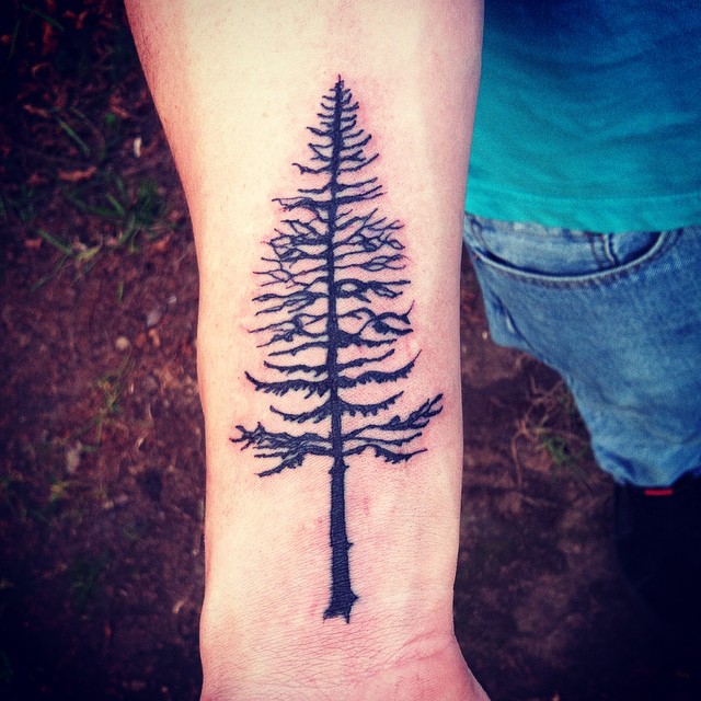 Awesome Black Ink Pine Tree Tattoo On Wrist