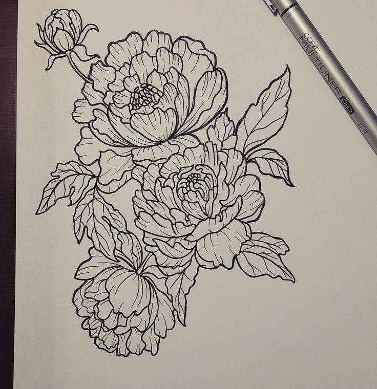 Awesome Black Outline Peony Flowers Tattoo Design