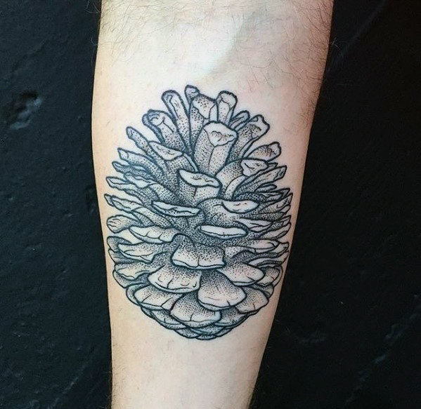 Awesome Dotwork Pine Cone Tattoo On Forearm