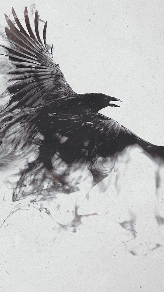 Awesome Flying Crow Tattoo Design