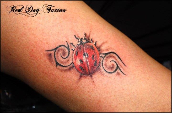 Awesome Ladybug Tattoo Design For Sleeve