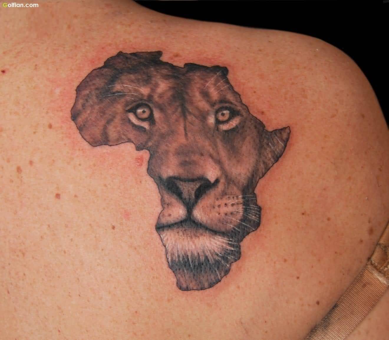 Awesome Lion in Africa Map Tattoo On Right Back Shoulder