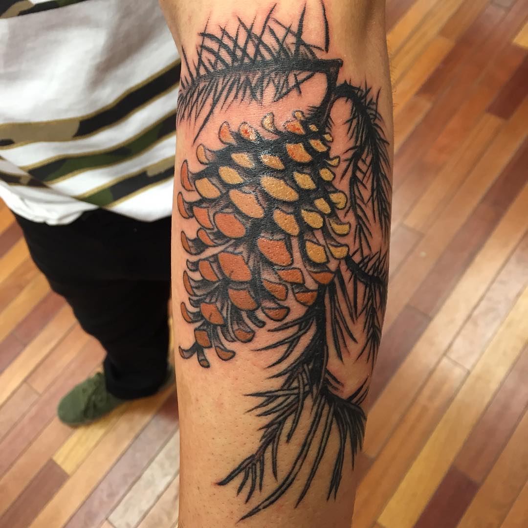 Awesome Pine Cone Tattoo On Left Arm