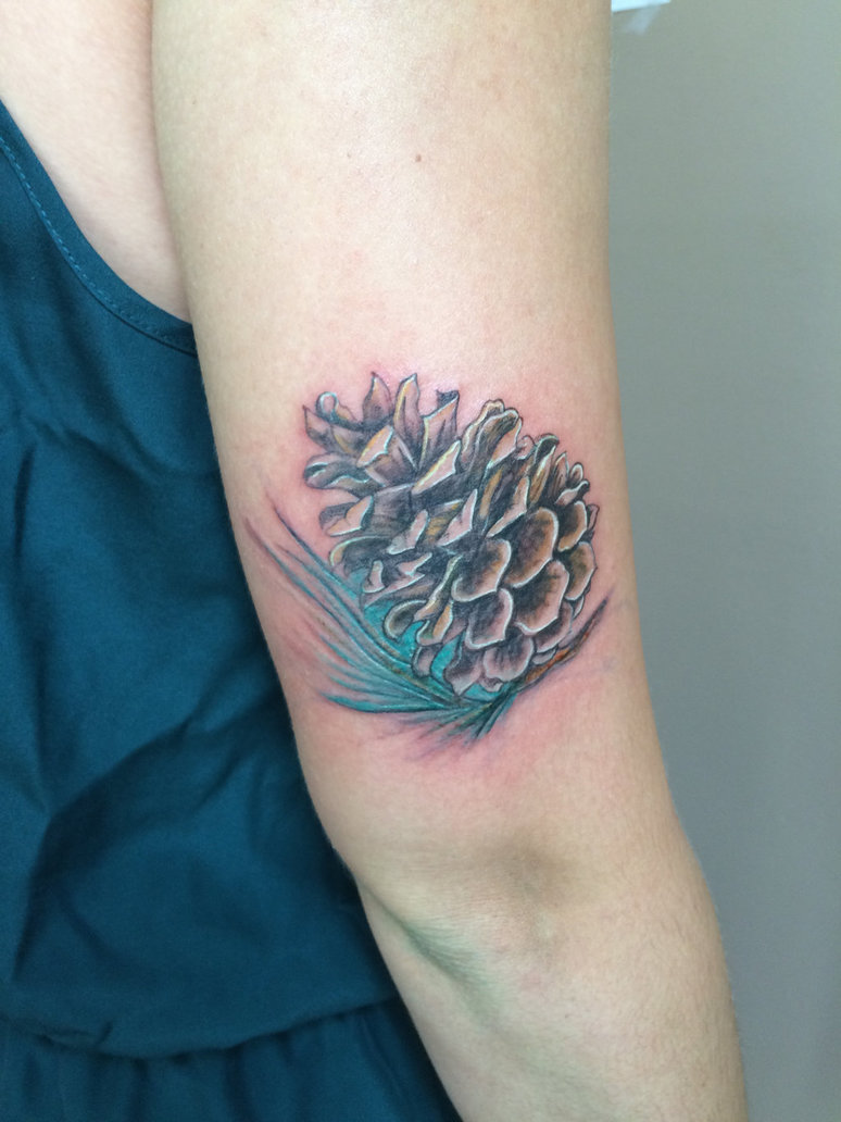 Awesome Pine Cone Tattoo On Right Half Sleeve By Solarkei