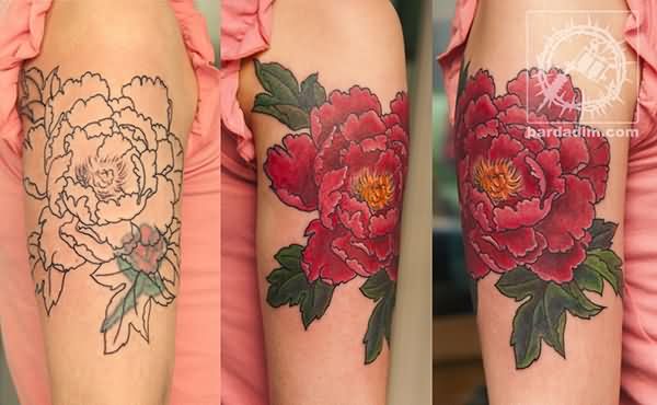 Awesome Realistic Peony Flower Tattoo On Girl Left Half Sleeve