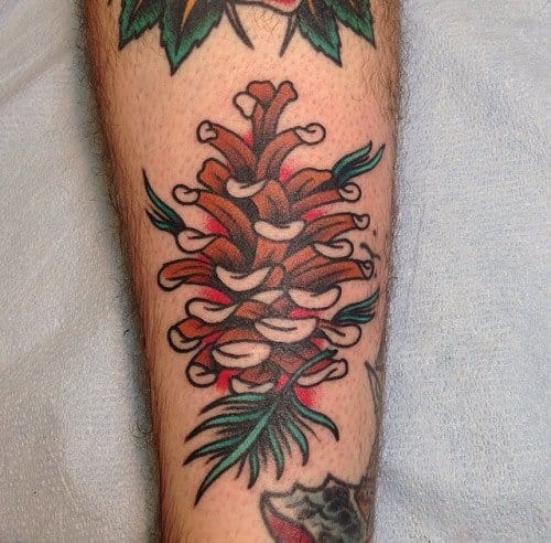 Awesome Traditional Pine Cone Tattoo On Forearm