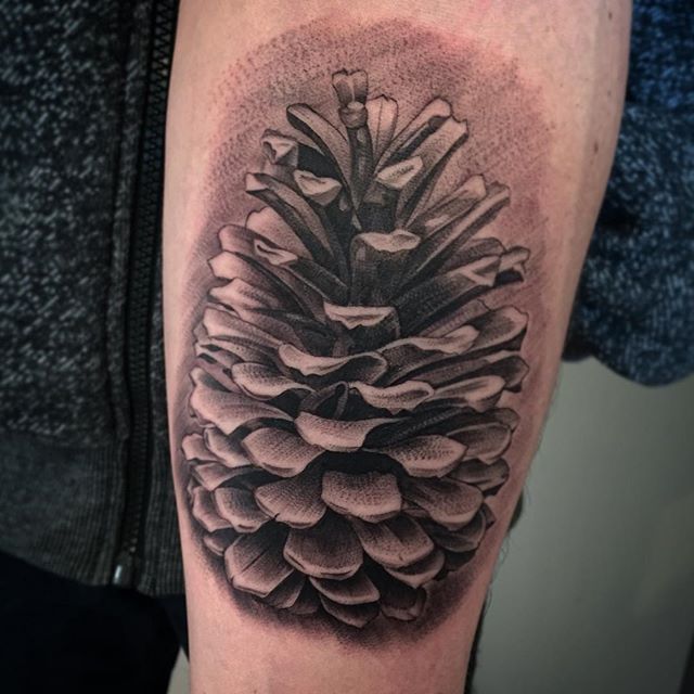 Black And Grey 3D Pine Cone Tattoo On Sleeve