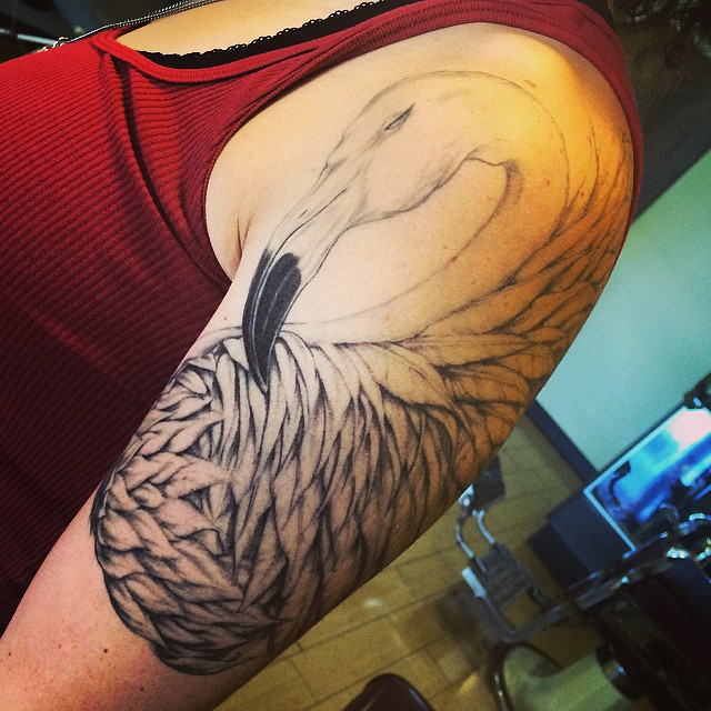 Black And Grey Albatross Tattoo On Left Half Sleeve