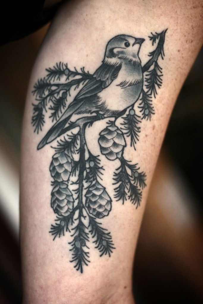 Black And Grey Bird On Pine Branch Tattoo On Half Sleeve By Kirsten Holliday