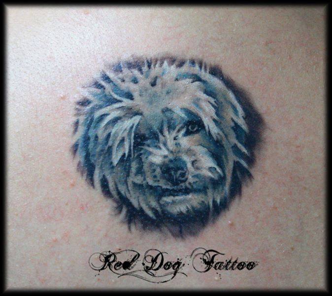 Black And Grey Dog Head Tattoo Design
