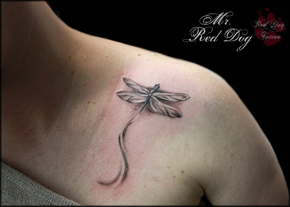 Black And Grey Dragonfly Tattoo On Left Shoulder