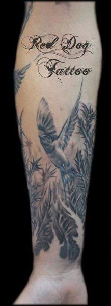 Black And Grey Flying Bird Tattoo On Right Forearm