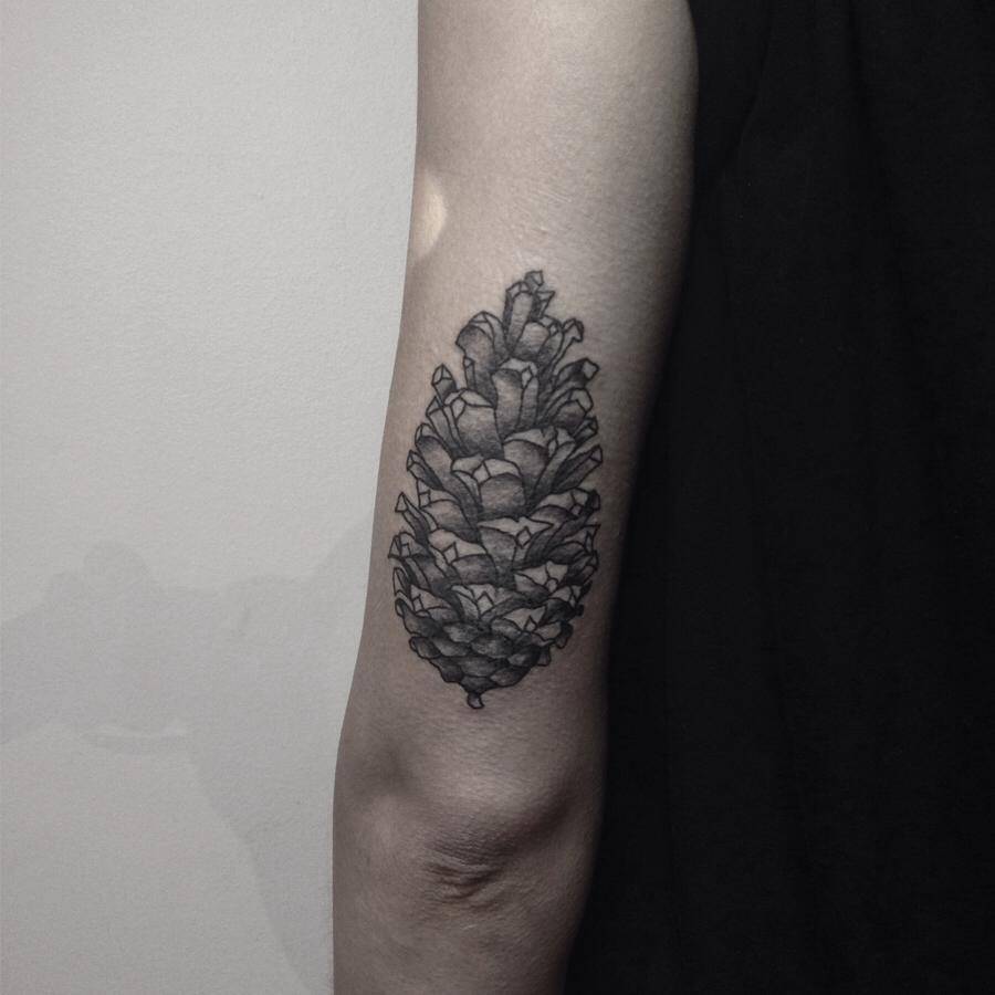 Black And Grey Pine Cone Tattoo On Left Half Sleeve