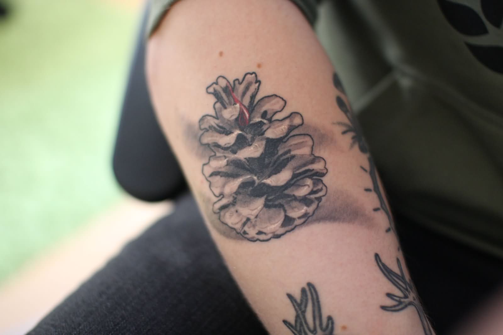 Black And Grey Pine Cone Tattoo On Right Half Sleeve