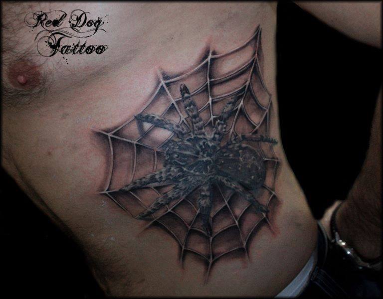 Black And Grey Spider With Web Tattoo On Left Side Rib