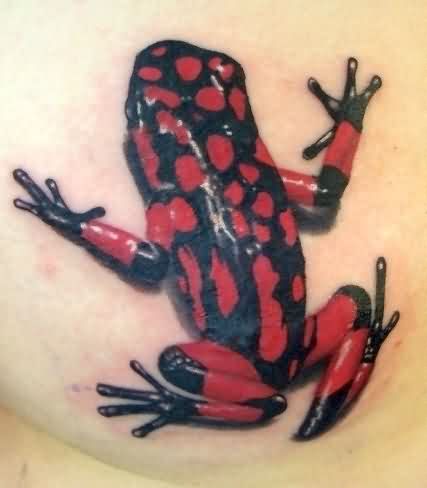 Black And Red Frog Tattoo On Back