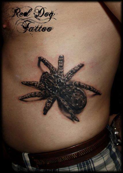 Black Ink 3D Spider Tattoo On Left Side Rib