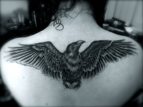 Black Ink Albatross Tattoo On Women Upper Back