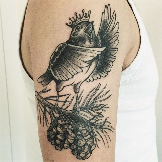 Black Ink Bird On Pine Branch Tattoo On Right Half Sleeve