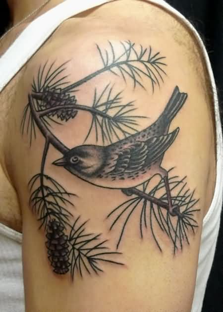 Black Ink Bird On Pine ConeBranch Tattoo On Man Left Shoulder By Virginia Elwood