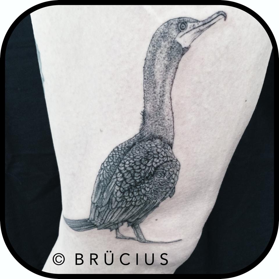 Black Ink Bird Tattoo On Half Sleeve By Brucius