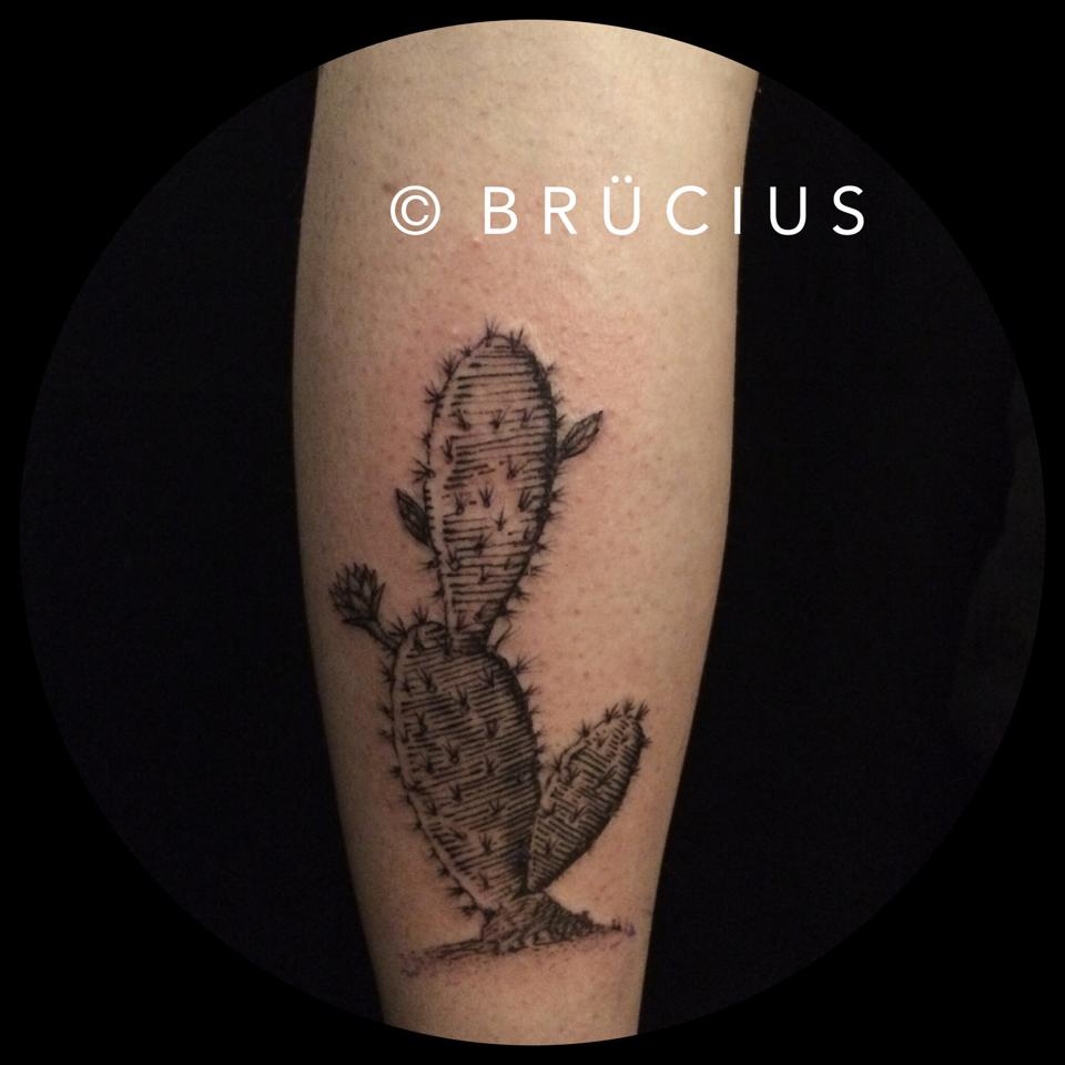 Black Ink Cactus Tattoo On Leg Calf By Brucius